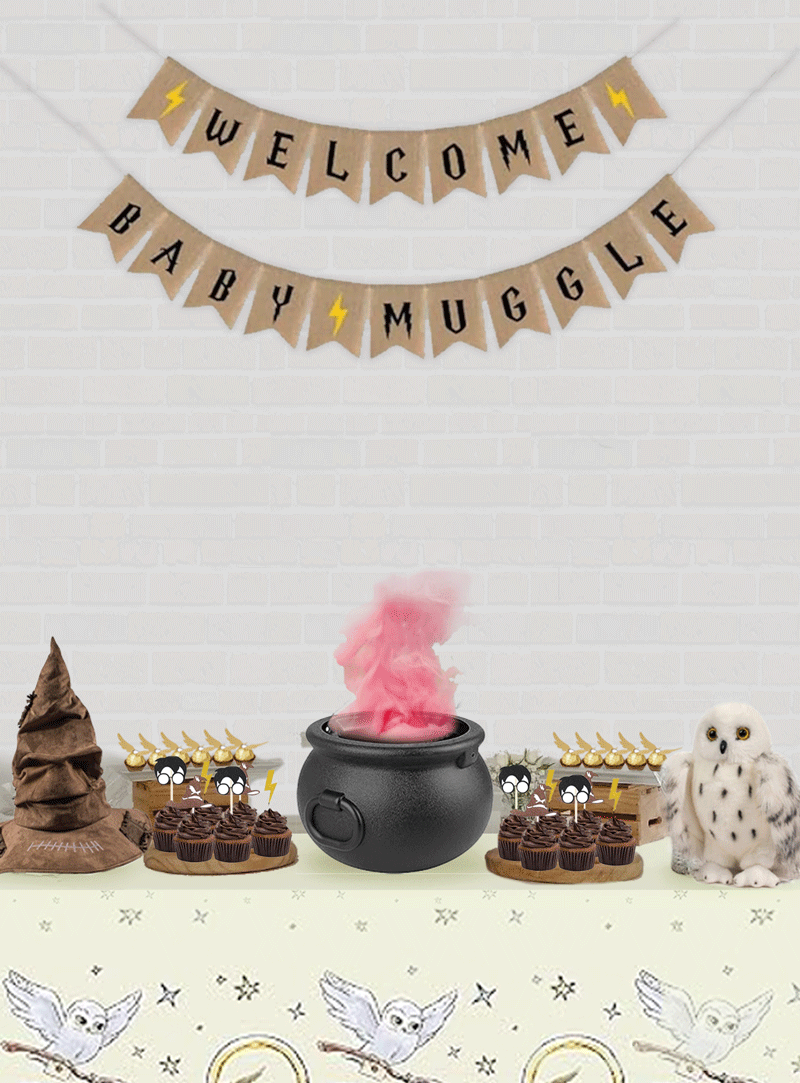 Harry-Potter-Gender-Reveal-Party-Ideas